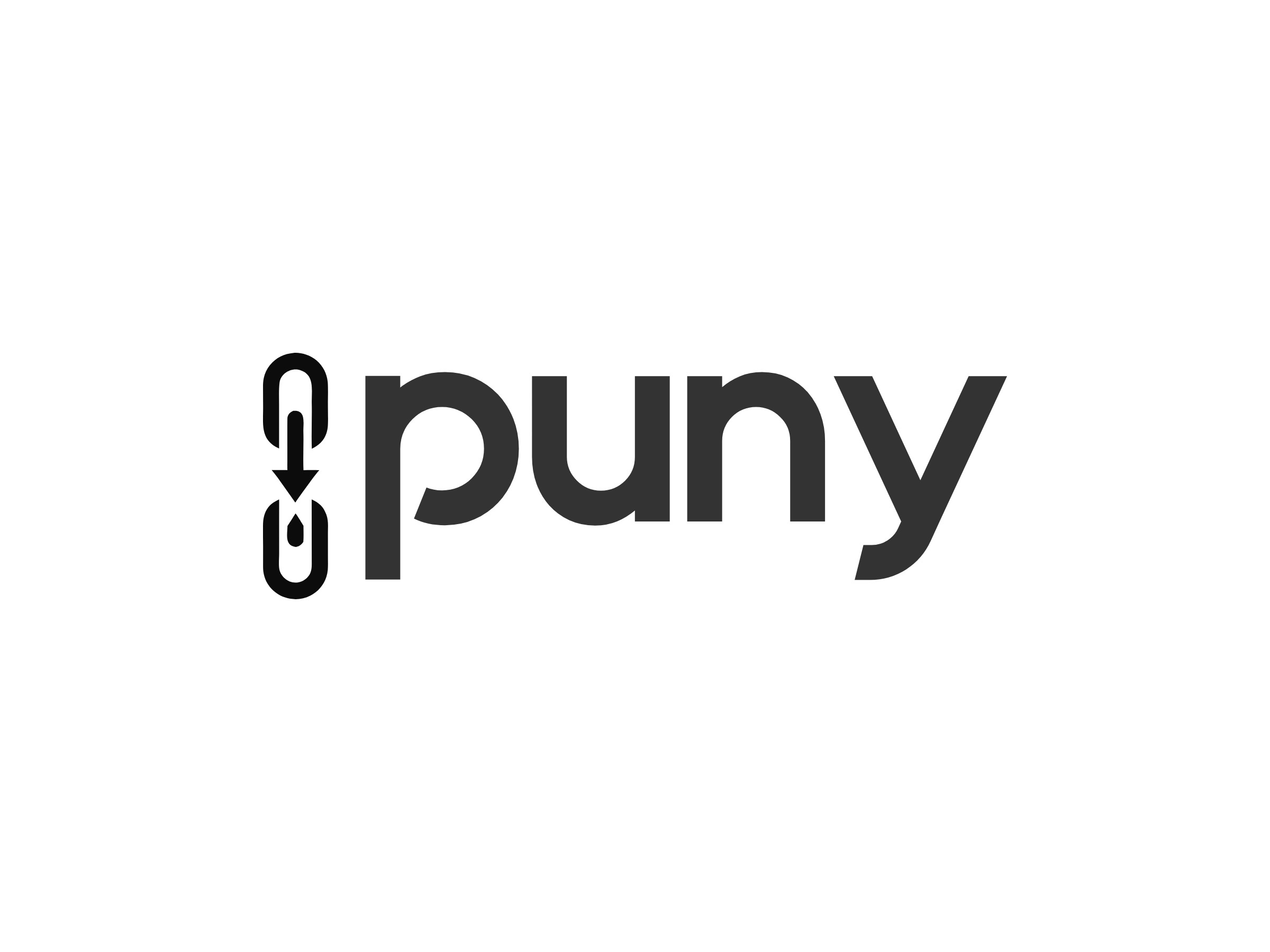 puny.io